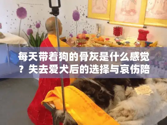 每天带着狗的骨灰是什么感觉？失去爱犬后的选择与哀伤陪伴指南