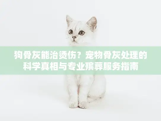 狗骨灰能治烫伤？宠物骨灰处理的科学真相与专业殡葬服务指南