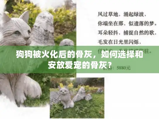 狗狗被火化后的骨灰，如何选择和安放爱宠的骨灰？