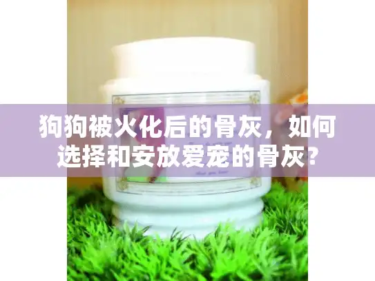 狗狗被火化后的骨灰，如何选择和安放爱宠的骨灰？