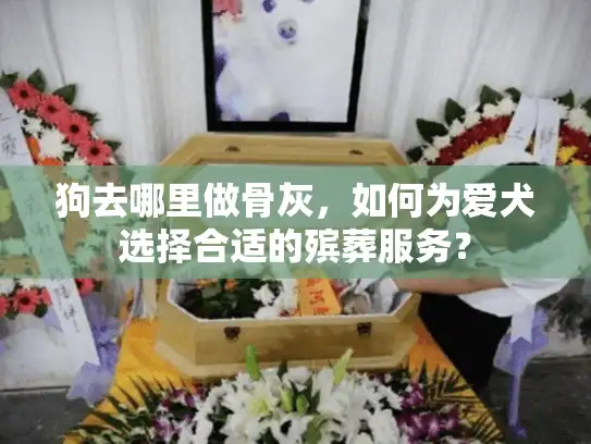 狗去哪里做骨灰，如何为爱犬选择合适的殡葬服务？