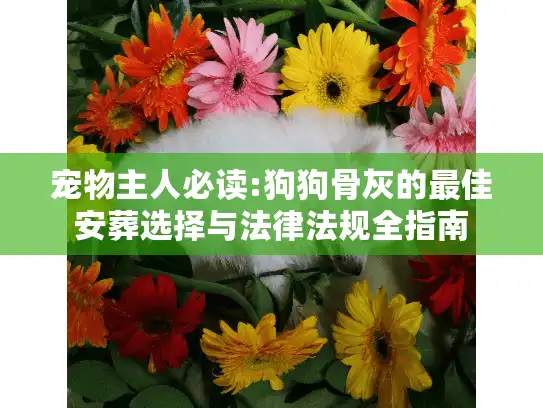 宠物主人必读:狗狗骨灰的最佳安葬选择与法律法规全指南