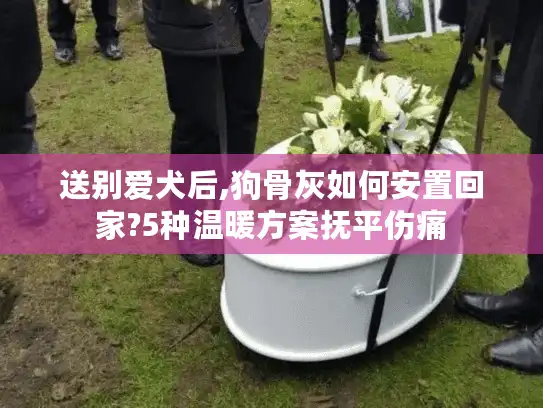 送别爱犬后,狗骨灰如何安置回家?5种温暖方案抚平伤痛