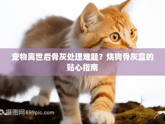 宠物离世后骨灰处理难题？烧狗骨灰盒的贴心指南