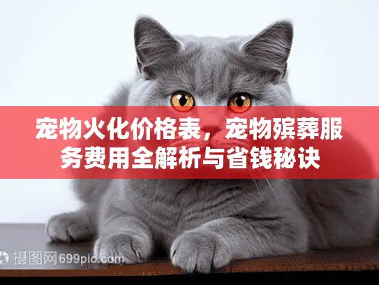 宠物火化价格表，宠物殡葬服务费用全解析与省钱秘诀