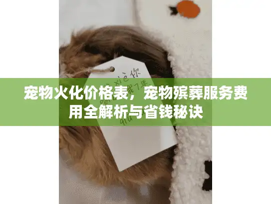 宠物火化价格表，宠物殡葬服务费用全解析与省钱秘诀