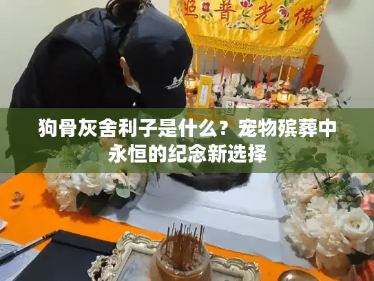 狗骨灰舍利子是什么？宠物殡葬中永恒的纪念新选择