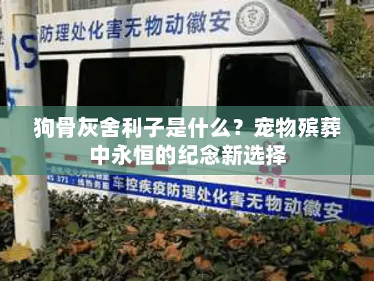 狗骨灰舍利子是什么？宠物殡葬中永恒的纪念新选择
