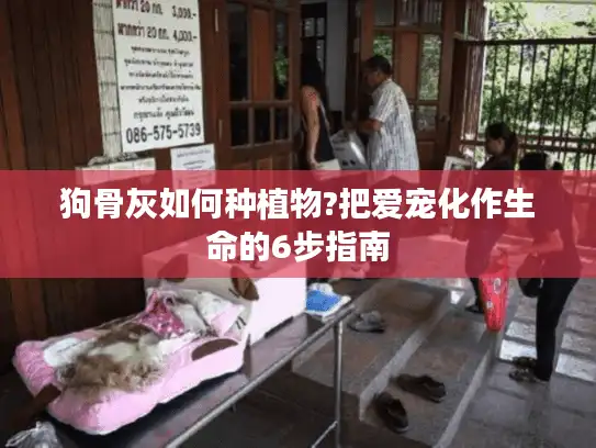 狗骨灰如何种植物?把爱宠化作生命的6步指南