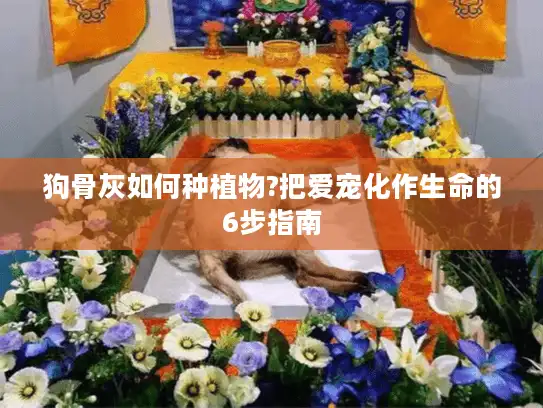 狗骨灰如何种植物?把爱宠化作生命的6步指南