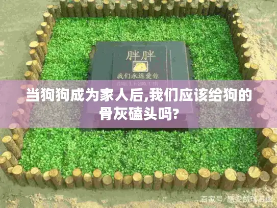 当狗狗成为家人后,我们应该给狗的骨灰磕头吗?