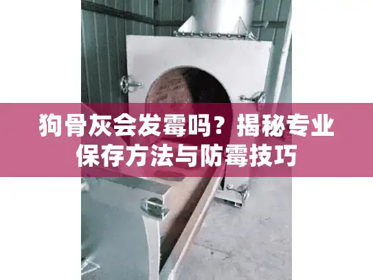 狗骨灰会发霉吗？揭秘专业保存方法与防霉技巧