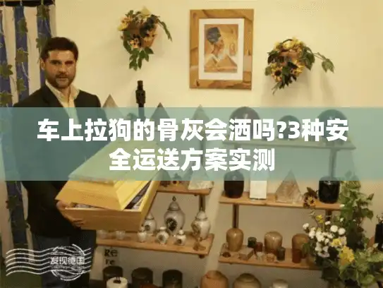 车上拉狗的骨灰会洒吗?3种安全运送方案实测