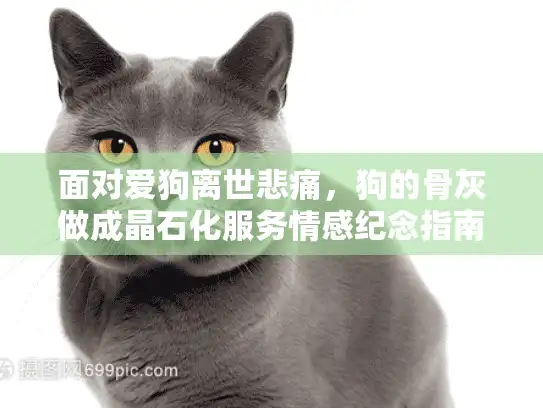 面对爱狗离世悲痛，狗的骨灰做成晶石化服务情感纪念指南