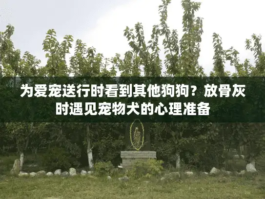 为爱宠送行时看到其他狗狗？放骨灰时遇见宠物犬的心理准备