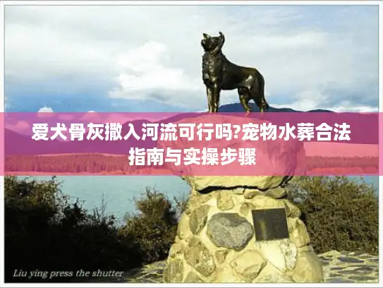 爱犬骨灰撒入河流可行吗?宠物水葬合法指南与实操步骤
