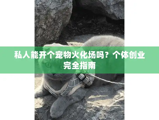 私人能开个宠物火化场吗？个体创业完全指南