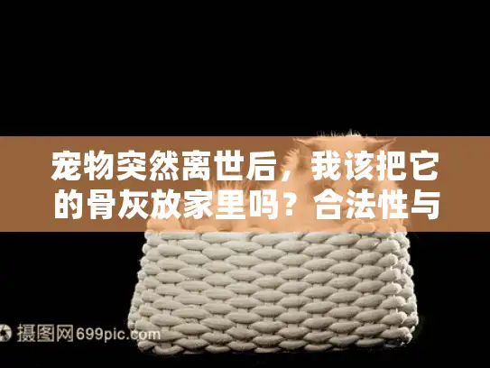 宠物突然离世后，我该把它的骨灰放家里吗？合法性与情感抉择指南