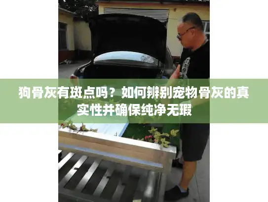 狗骨灰有斑点吗？如何辨别宠物骨灰的真实性并确保纯净无瑕