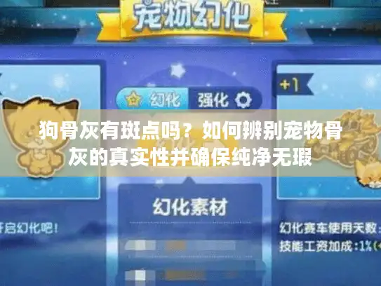 狗骨灰有斑点吗？如何辨别宠物骨灰的真实性并确保纯净无瑕