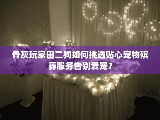 骨灰玩家田二狗如何挑选贴心宠物殡葬服务告别爱宠？