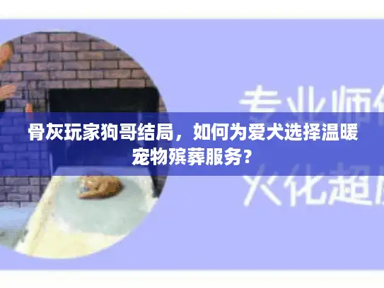 骨灰玩家狗哥结局，如何为爱犬选择温暖宠物殡葬服务？