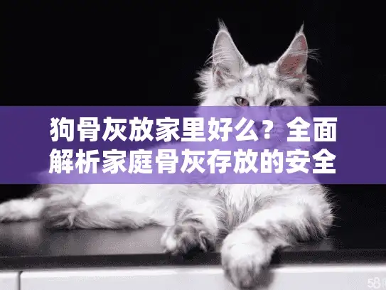 狗骨灰放家里好么？全面解析家庭骨灰存放的安全与情感平衡指南
