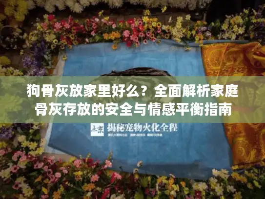 狗骨灰放家里好么？全面解析家庭骨灰存放的安全与情感平衡指南