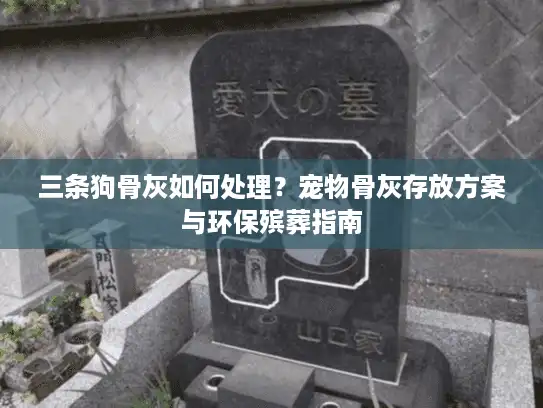 三条狗骨灰如何处理？宠物骨灰存放方案与环保殡葬指南