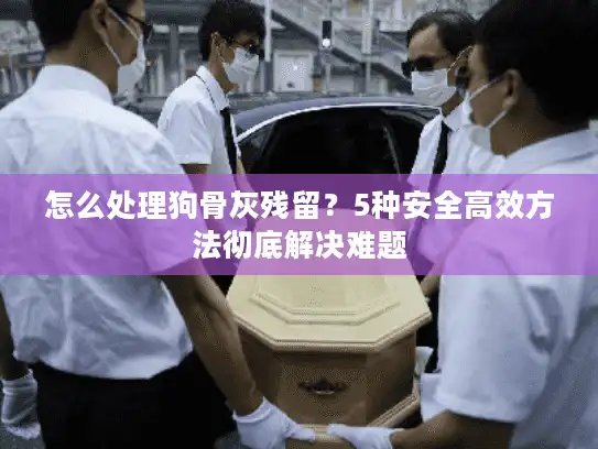 怎么处理狗骨灰残留？5种安全高效方法彻底解决难题