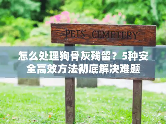 怎么处理狗骨灰残留？5种安全高效方法彻底解决难题