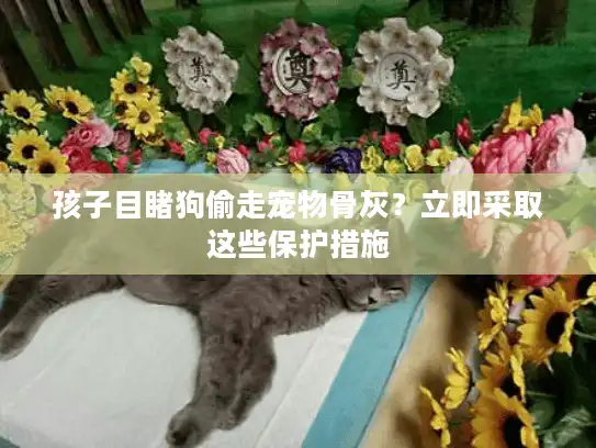 孩子目睹狗偷走宠物骨灰？立即采取这些保护措施