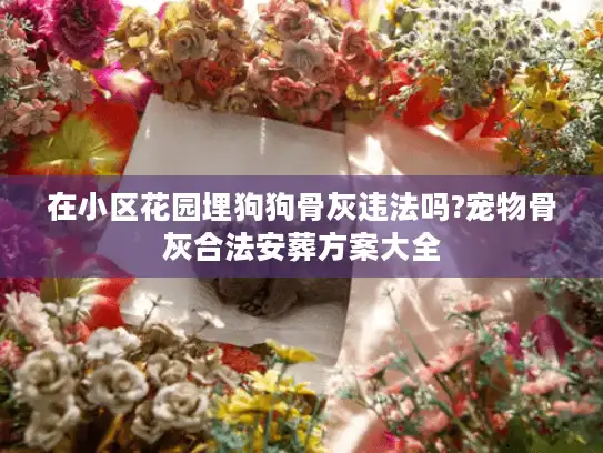 在小区花园埋狗狗骨灰违法吗?宠物骨灰合法安葬方案大全