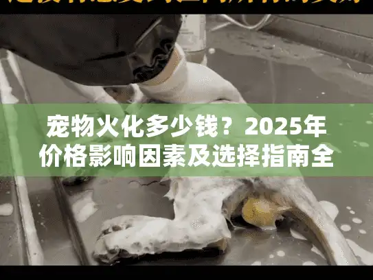 宠物火化多少钱？2025年价格影响因素及选择指南全解析