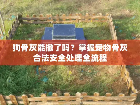 狗骨灰能撒了吗？掌握宠物骨灰合法安全处理全流程