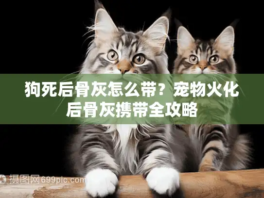 狗死后骨灰怎么带？宠物火化后骨灰携带全攻略