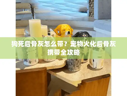 狗死后骨灰怎么带？宠物火化后骨灰携带全攻略