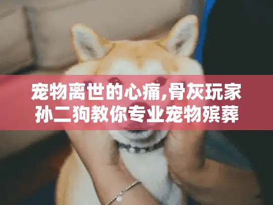 宠物离世的心痛,骨灰玩家孙二狗教你专业宠物殡葬服务选择
