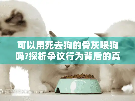 可以用死去狗的骨灰喂狗吗?探析争议行为背后的真相与科学殡葬选择