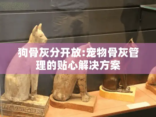 狗骨灰分开放:宠物骨灰管理的贴心解决方案
