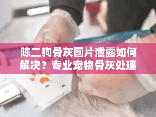 陈二狗骨灰图片泄露如何解决？专业宠物骨灰处理指南
