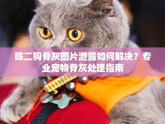 陈二狗骨灰图片泄露如何解决？专业宠物骨灰处理指南