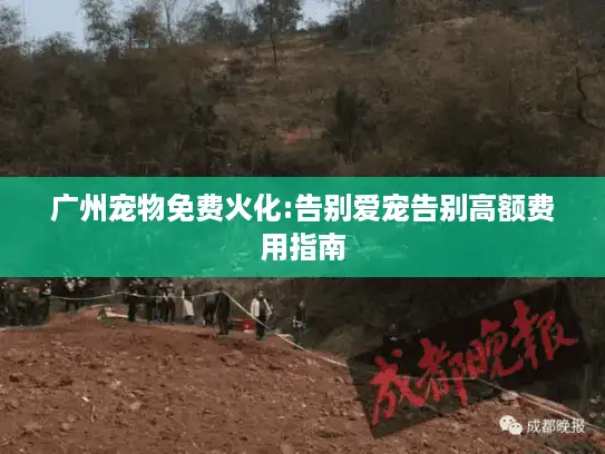 广州宠物免费火化:告别爱宠告别高额费用指南