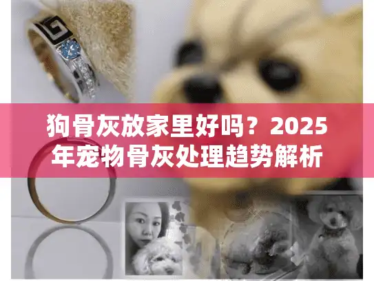 狗骨灰放家里好吗？2025年宠物骨灰处理趋势解析