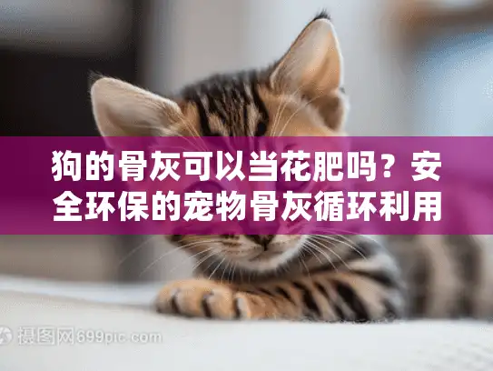 狗的骨灰可以当花肥吗？安全环保的宠物骨灰循环利用方案