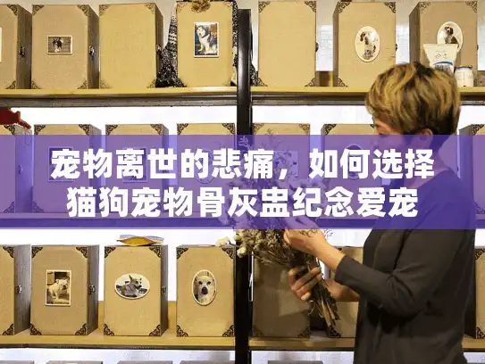 宠物离世的悲痛，如何选择猫狗宠物骨灰盅纪念爱宠