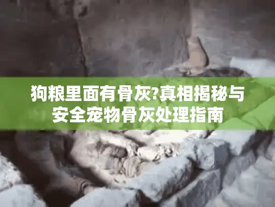 狗粮里面有骨灰?真相揭秘与安全宠物骨灰处理指南