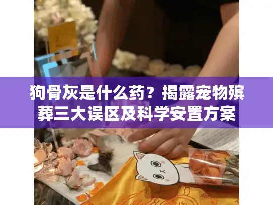 狗骨灰是什么药？揭露宠物殡葬三大误区及科学安置方案