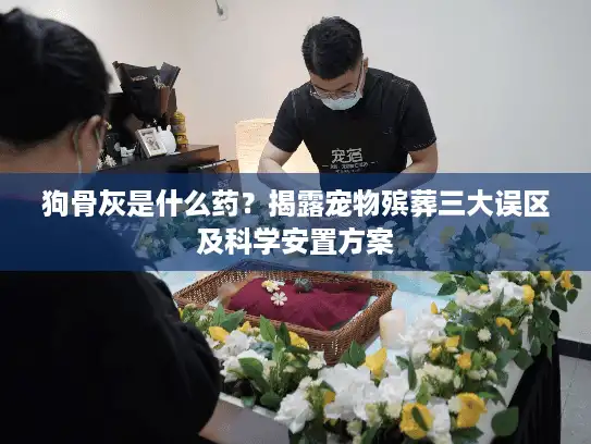狗骨灰是什么药？揭露宠物殡葬三大误区及科学安置方案