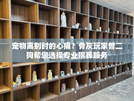 宠物离别时的心痛？骨灰玩家曾二狗帮您选择专业殡葬服务